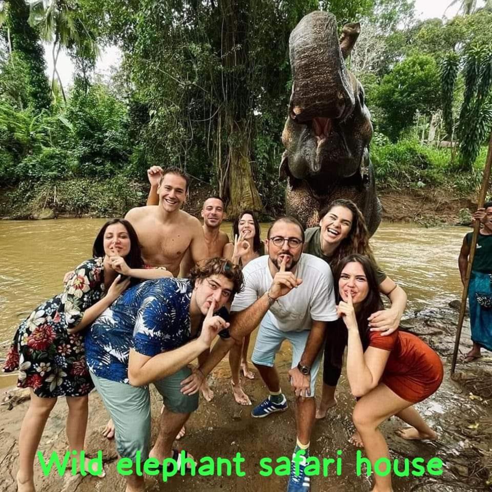 Elephant Park Family Bungalow Udawalawe Buitenkant foto